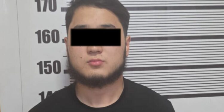 Түн ичинде сейил бакта мушташкандар кармалды (видео)