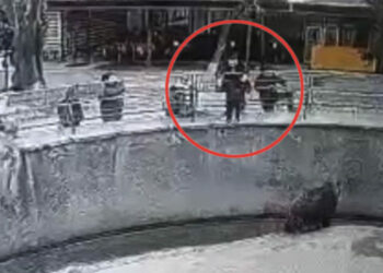 Ташкенттеги зоопаркта кызын аюунун капасына ыргыткан аял эсиңиздеби? Ал кызын бычактап өлтүрүүгө шектелип жатат