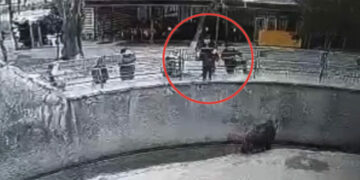 Ташкенттеги зоопаркта кызын аюунун капасына ыргыткан аял эсиңиздеби? Ал кызын бычактап өлтүрүүгө шектелип жатат