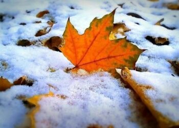 Шашылыш билдирүү: 16-18-сентябрь күндөрү жаан жаап, тоолуу райондордо кар жаашы күтүлөт