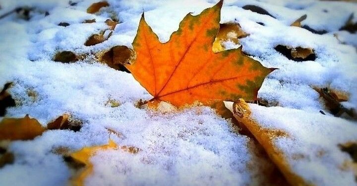 Шашылыш билдирүү: 16-18-сентябрь күндөрү жаан жаап, тоолуу райондордо кар жаашы күтүлөт