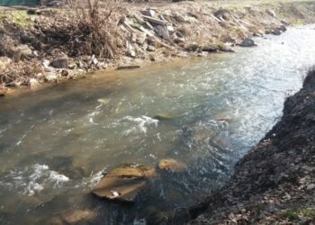 Аламүдүн суусуна тайгаланып кирип кеткен кыз боюнча милиция маалымат берди