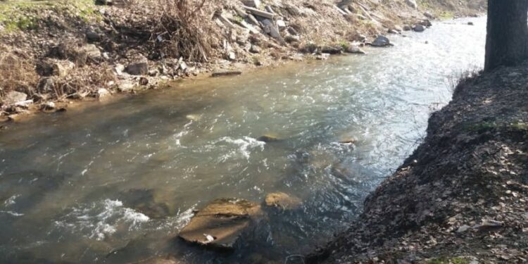 Аламүдүн суусуна тайгаланып кирип кеткен кыз боюнча милиция маалымат берди