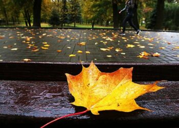 8-сентябрга карата өлкөдө күтүлгөн аба ырайы