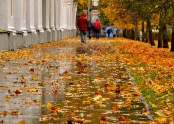 Эртеңден тартып өлкөдө абанын температурасы төмөндөйт