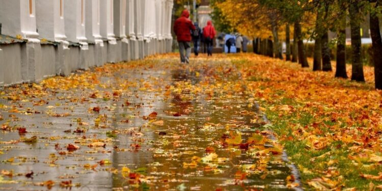 Эртеңден тартып өлкөдө абанын температурасы төмөндөйт