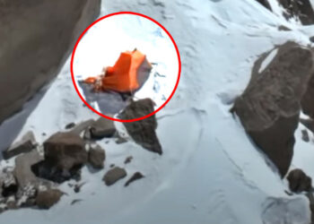 «Жашоонун белгиси жок». Наталья Наговицына жаткан жердин дрондон тартылган жаңы видеосу