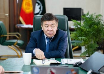 Салык кызматы 8 айда 243 миллиард сомдон ашык салык жана камсыздандыруу төгүмдөрүн чогултту