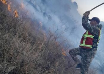 Баткенде тоодон чыккан өрт толугу менен өчүрүлдү