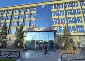 Чүйдө өз балдарын өлтүрүүгө шектелип эне кармалды