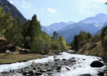Ташиев: «Кийинки жылы баарыбыз Кара-Койду өнүктүрүү үчүн иштейбиз»