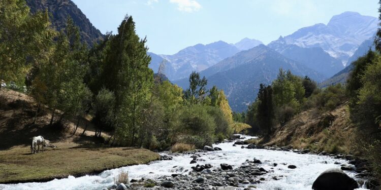 Ташиев: «Кийинки жылы баарыбыз Кара-Койду өнүктүрүү үчүн иштейбиз»