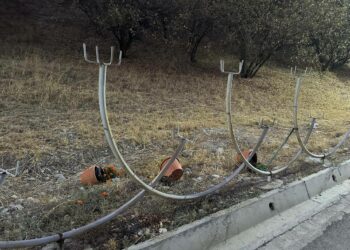 Манас шаарында жол четиндеги идиштеги гүлдөр талкаланды