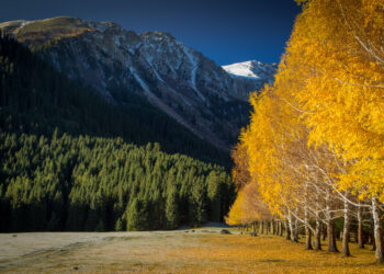 15-сентябрга карата өлкөдө күтүлгөн аба ырайы