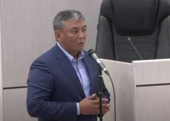 Депутат: «Балдарыбыз «Лабубу» сыяктуу мультфильмдерди көрүп тарбияланып жатат»