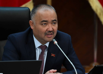 «Маскара болуп эмне кыласыңар?». Жогорку Кеңештин төрагасы «блогер» болуп кеткен жетекчилерди сындады