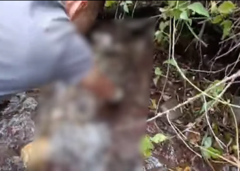 Чүйдө 5 жыл мурун аял дайынсыз жоголгон. Жансыз денеси тоодо көмүлгөн жерден чыгарылды