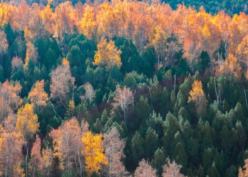 26-сентябрга карата өлкөдө күтүлгөн аба ырайы