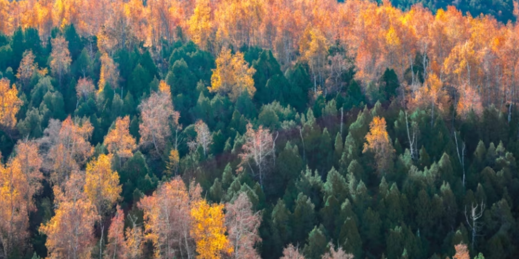 26-сентябрга карата өлкөдө күтүлгөн аба ырайы