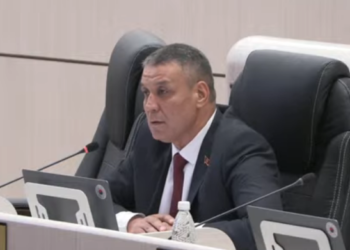 «Өсүмдүктүн тамырына барышкан». Депутат чек арада каза болгон эки кыргызстандык тууралуу маалымат берди