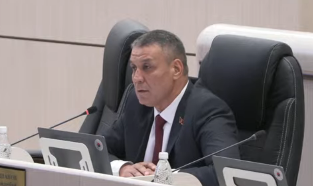 «Өсүмдүктүн тамырына барышкан». Депутат чек арада каза болгон эки кыргызстандык тууралуу маалымат берди