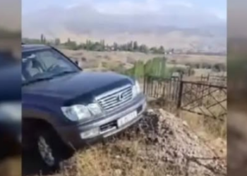 Чүйдө унаасын бейиттин үстүнө токтоткон айдоочу талкуу жаратты