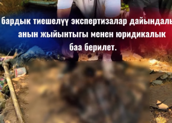 Бишкекте дайынсыз болуп жаткан аялдын жансыз денеси өз үйүнүн короосунда көмүлгөн абалда табылды