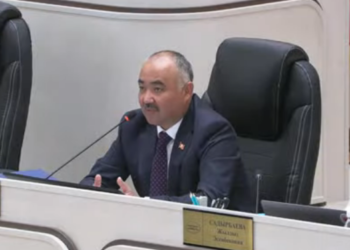 Парламент төрагасы айыл өкмөттөрдүн ротациясы натыйжа бербегенин айтты