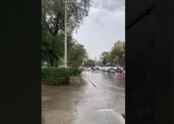 «Бишкектеги Лев Толстой көчөсүнүн жаңы оңдолгон бөлүгүн суу каптады» деген видео тарады. Мэрия түшүндүрмө берди