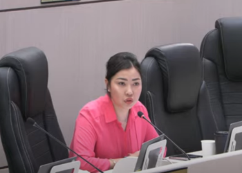 Депутат студенттердин онлайн окуусу жакшы жүрбөй жатканын айтты