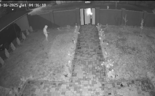 Милиция зер буюмдары менен акча уурдаган деп үч жигитти кармады (видео)