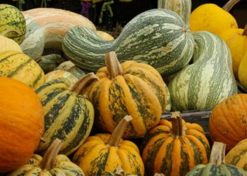 12-сентябрга карата өлкөдө күтүлгөн аба ырайы