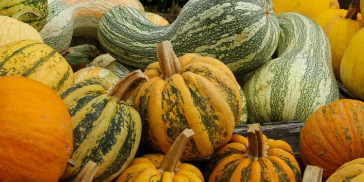 12-сентябрга карата өлкөдө күтүлгөн аба ырайы