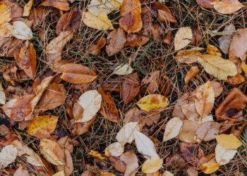 27-сентябрга карата өлкөдө күтүлгөн аба ырайы