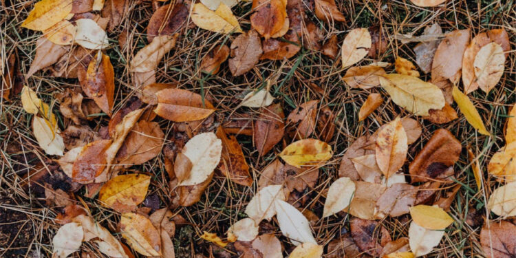 27-сентябрга карата өлкөдө күтүлгөн аба ырайы