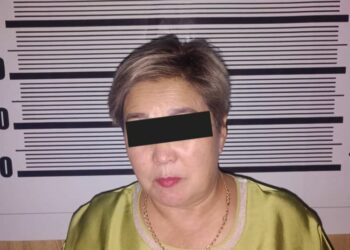 Бишкекте мышыктарды тепкилеген аял кармалды (видео)