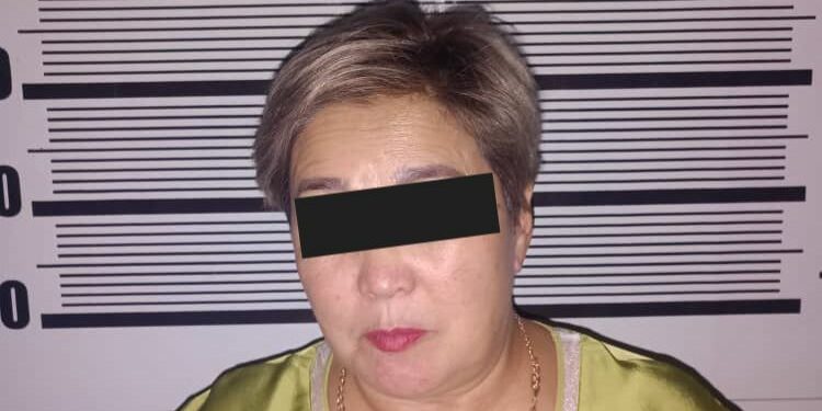 Бишкекте мышыктарды тепкилеген аял кармалды (видео)