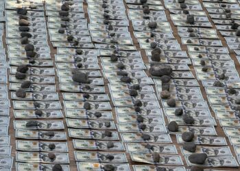 Жер жайнаган акча… 400 миң доллар алган укук коргоо органдарынын кызматкерлеринин тобу аныкталды