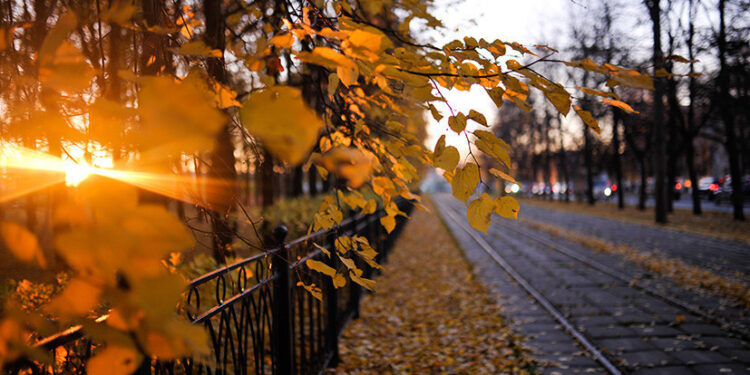 10-октябрга карата өлкөдө күтүлгөн аба ырайы