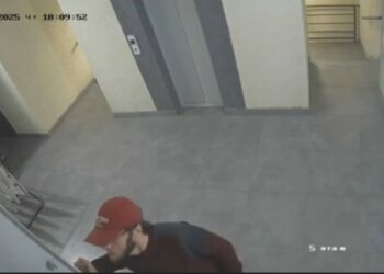 Көп кабаттуу үйгө кирген жаран милицияга каршылык көрсөткөн