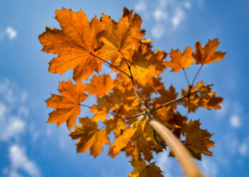 21-октябрга карата өлкөдө күтүлгөн аба ырайы