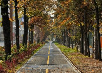 24-октябрда өлкөдө күтүлгөн аба ырайы