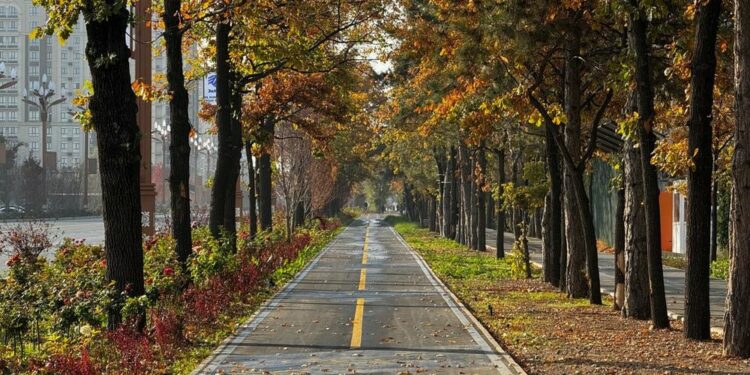 24-октябрда өлкөдө күтүлгөн аба ырайы