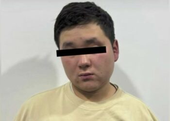 Ак-Ордодо эки адамды өлтүрүүгө шектелген жаран качкан учурда атып өлтүрүлдү