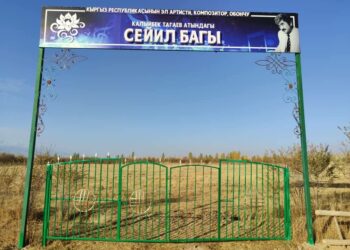 Ат-Башыда ачылган сейил бактын абалы талкуу жаратты