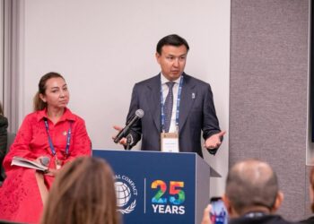 Чыңгыз Алканов БУУнун 80-Генассамблеясынын Жумалыгынын панелдик сессиясында