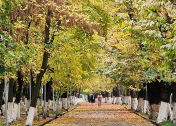 4-октябрга карата өлкөдө күтүлгөн аба ырайы