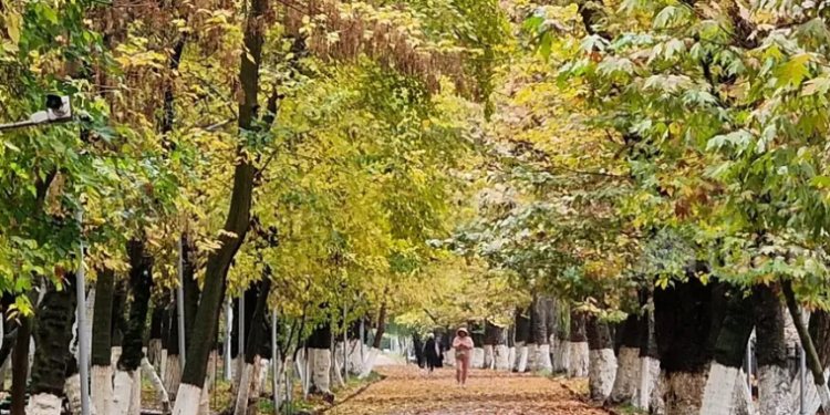 4-октябрга карата өлкөдө күтүлгөн аба ырайы