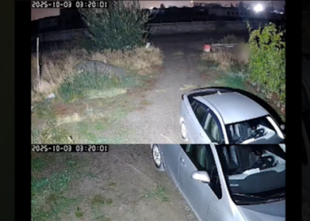 Ак-Ордодогу окуя. «Келин 3 баласы менен келип, «терезеден качып чыктык деди» дейт кошунасы