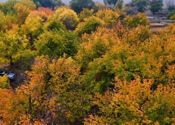 14-октябрга карата өлкөдө күтүлгөн аба ырайы